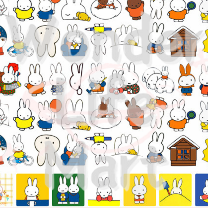 shake tiny acrylic Classic cartoon double through 4cm acrylic sheet DIY shaker cartoon Random Mix